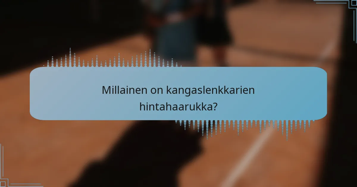 Millainen on kangaslenkkarien hintahaarukka?
